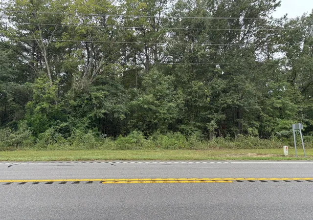 Photo 1 of Land for sale at 0 Hwy Sc 6, Elloree, SC 29047 | MLS# 26027986 | Listing updated on 2026-10-14