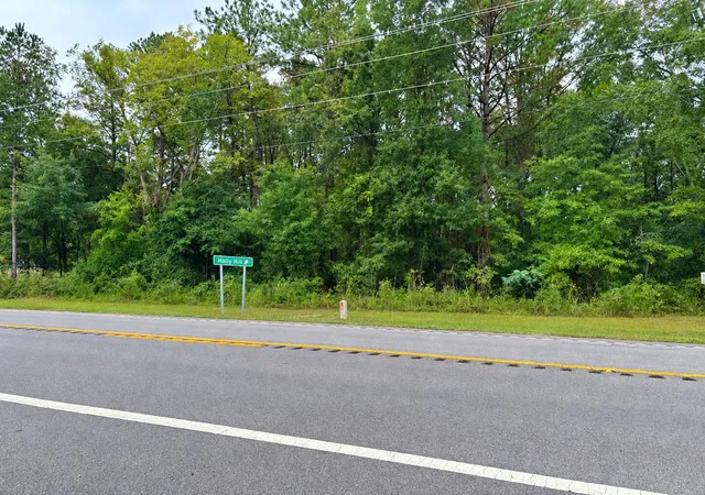 Photo 2 of Land for sale at 0 Hwy Sc 6, Elloree, SC 29047 | MLS# 26027986 | Listing updated on 2026-10-14