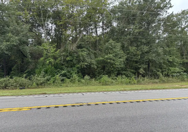 Photo 3 of Land for sale at 0 Hwy Sc 6, Elloree, SC 29047 | MLS# 26027986 | Listing updated on 2026-10-14