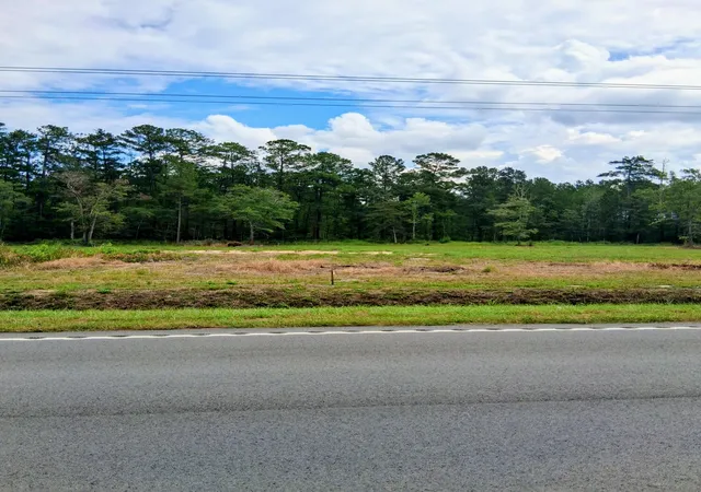 Photo 2 of Land for sale at 4334 Mt Carmel Rd, Walterboro, SC 29488 | MLS# 26026440 | Listing updated on 2026-09-22