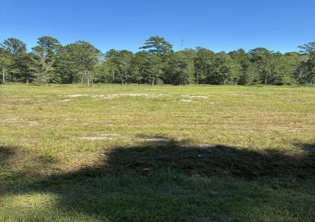 Photo 3 of Land for sale at 4334 Mt Carmel Rd, Walterboro, SC 29488 | MLS# 26026440 | Listing updated on 2026-09-22