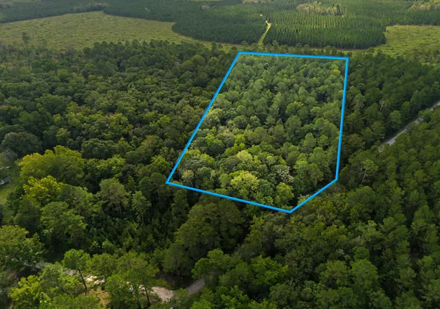 Photo 1 of Land for sale at 0 Tree Farm Rd, Walterboro, SC 29488 | MLS# 26026640 | Listing updated on 2026-09-24