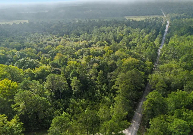 Photo 2 of Land for sale at 0 Tree Farm Rd, Walterboro, SC 29488 | MLS# 26026640 | Listing updated on 2026-09-24