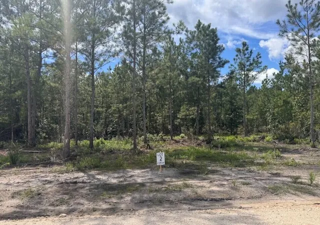 Photo 1 of Land for sale at 0 Walker Rd #Lot 2, Ridgeville, SC 29472 | MLS# 26025022 | Listing updated on 2026-09-22