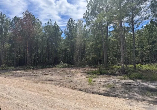 Photo 3 of Land for sale at 0 Walker Rd #Lot 2, Ridgeville, SC 29472 | MLS# 26025022 | Listing updated on 2026-09-22