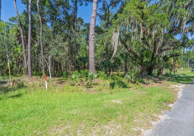 Photo 1 of Land for sale at 7860 Russell Crk Rd, Edisto Island, SC 29438 | MLS# 26025113 | Listing updated on 2026-09-11