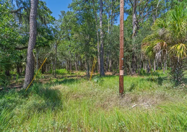 Photo 2 of Land for sale at 7860 Russell Crk Rd, Edisto Island, SC 29438 | MLS# 26025113 | Listing updated on 2026-09-11