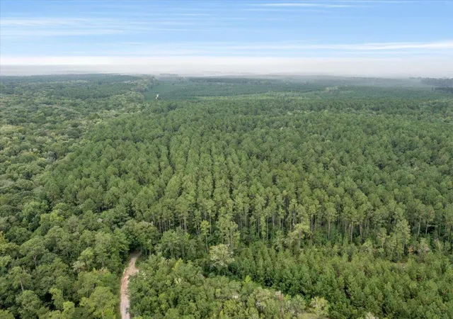 Photo 3 of Land for sale at 0 Camp Buddy Rd, Ridgeville, SC 29472 | MLS# 26025025 | Listing updated on 2026-09-04
