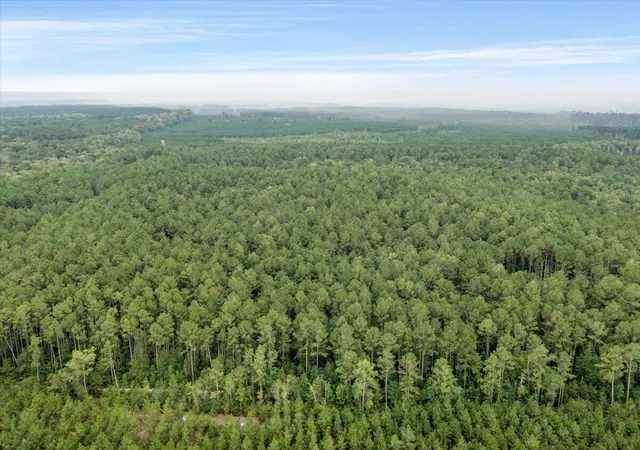 Photo 3 of Land for sale at 0 Camp Buddy Rd, Ridgeville, SC 29472 | MLS# 26025025 | Listing updated on 2026-10-13