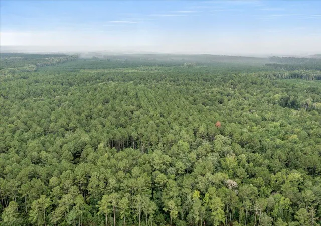 Photo 4 of Land for sale at 0 Camp Buddy Rd, Ridgeville, SC 29472 | MLS# 26025025 | Listing updated on 2026-10-13