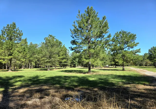 Photo 1 of Land for sale at 368 Whites Ave, Cottageville, SC 29435 | MLS# 26028716 | Listing updated on 2026-10-20
