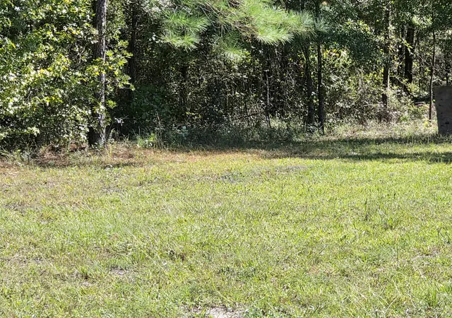 Photo 3 of Land for sale at 368 Whites Ave, Cottageville, SC 29435 | MLS# 26028716 | Listing updated on 2026-10-20
