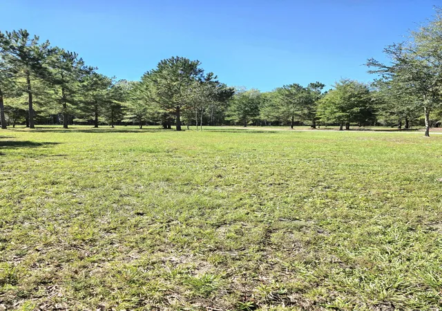 Photo 4 of Land for sale at 368 Whites Ave, Cottageville, SC 29435 | MLS# 26028716 | Listing updated on 2026-10-20