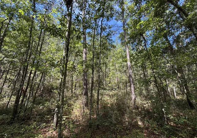 Land for sale at 10 Red Oak Rd, Cottageville, SC 29435 | MLS# 26025611