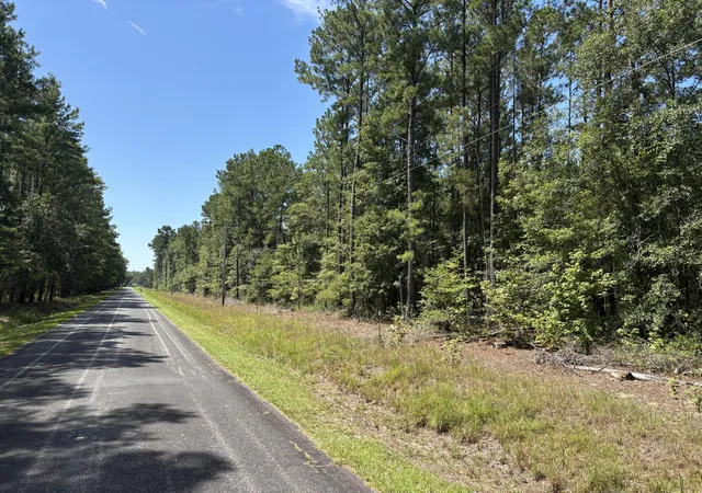 Photo 2 of Land for sale at 10 Red Oak Rd, Cottageville, SC 29435 | MLS# 26025611 | Listing updated on 2026-09-11
