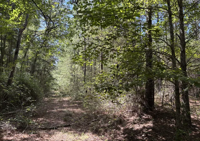 Photo 3 of Land for sale at 10 Red Oak Rd, Cottageville, SC 29435 | MLS# 26025611 | Listing updated on 2026-09-11