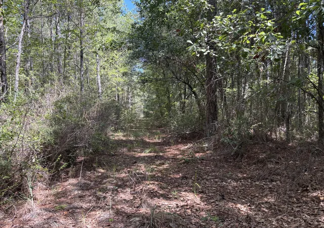 Photo 4 of Land for sale at 10 Red Oak Rd, Cottageville, SC 29435 | MLS# 26025611 | Listing updated on 2026-09-11