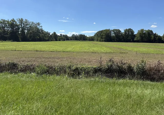 Photo 1 of Land for sale at 15860 Ace Basin (lot #1) Pkwy, Round O, SC 29474 | MLS# 26027662 | Listing updated on 2026-10-06
