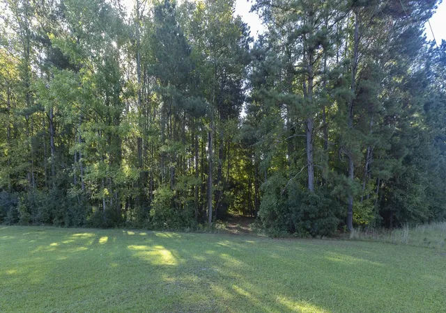 Photo 3 of Land for sale at 0 Plowden Ml Rd, Alcolu, SC 29001 | MLS# 26027790 | Listing updated on 2026-10-08