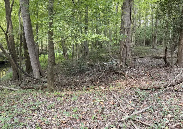 Photo 1 of Land for sale at 249 Cr 4, Fairfax, SC 29827 | MLS# 26026321 | Listing updated on 2026-09-21