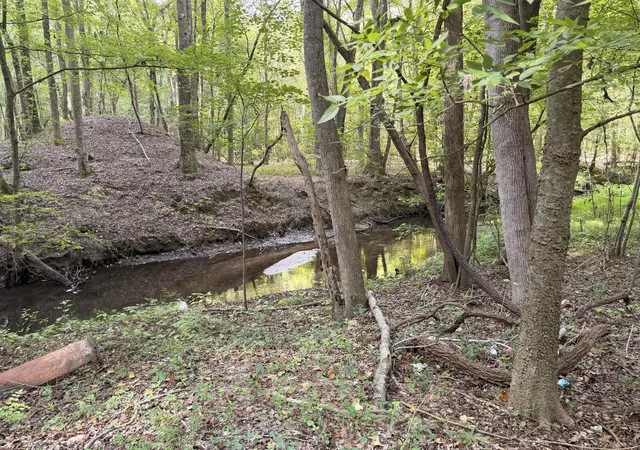 Photo 2 of Land for sale at 249 Cr 4, Fairfax, SC 29827 | MLS# 26026321 | Listing updated on 2026-09-21