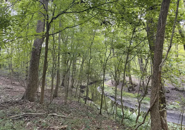 Photo 3 of Land for sale at 249 Cr 4, Fairfax, SC 29827 | MLS# 26026321 | Listing updated on 2026-09-21