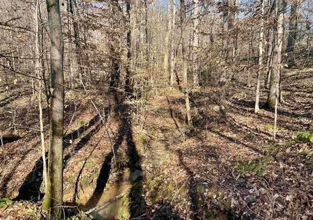 Photo 3 of Sale Pending at 00 Beardon Holw Rd, Westminster, SC 29693 | MLS# 20288533 | Listing updated on 2026-08-31