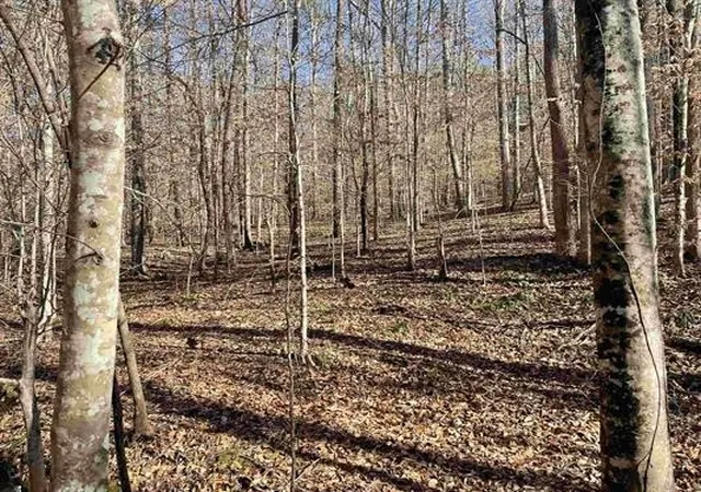Photo 4 of Sale Pending at 00 Beardon Holw Rd, Westminster, SC 29693 | MLS# 20288533 | Listing updated on 2026-08-31
