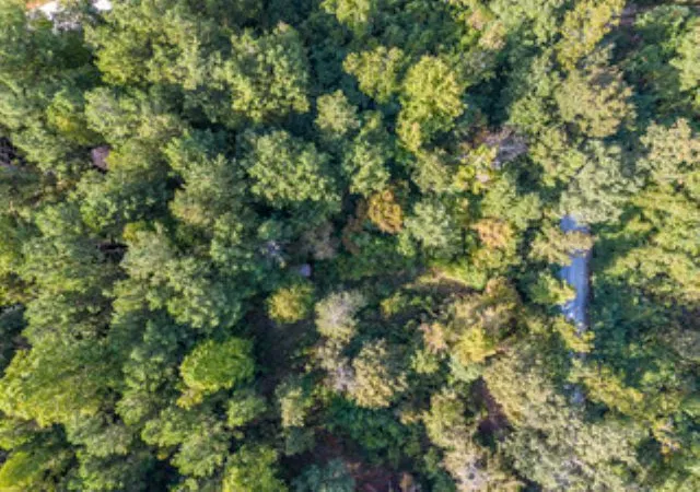 Photo 2 of Land for sale at 209 N Lakeside Dr, Fair Play, SC 29643 | MLS# 20289115 | Listing updated on 2026-09-08