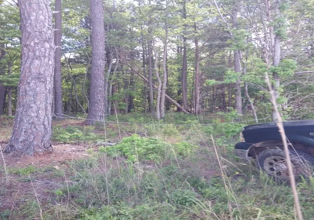Photo 2 of Land for sale at 846 Latimer Mill Rd, Honea Path, SC 29654 | MLS# 20289271 | Listing updated on 2026-09-10