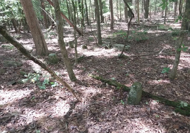 Photo 3 of Land for sale at 846 Latimer Mill Rd, Honea Path, SC 29654 | MLS# 20289271 | Listing updated on 2026-09-10
