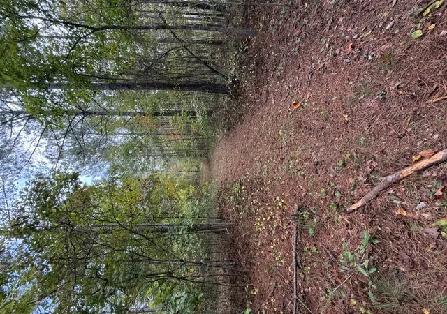 Photo 1 of Land for sale at 3696 Acres Wolf Stake Church Rd, Seneca, SC 29672 | MLS# 20293487 | Listing updated on 2026-09-19