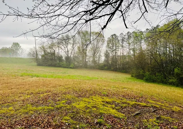 36th image of 10 Cross St, Abbeville, SC 29620 | MLS# 20294746