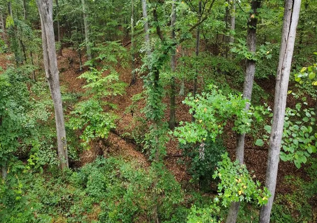 3rd image of 10 Cross St, Abbeville, SC 29620 | MLS# 20294746