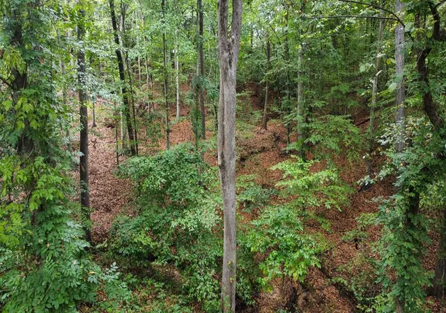 5th image of 10 Cross St, Abbeville, SC 29620 | MLS# 20294746