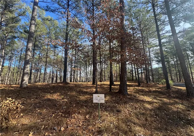 Photo 1 of Land for sale at 801 Mirror Lake Ct, Salem, SC 29676 | MLS# 20295940 | Listing updated on 2026-09-01