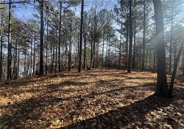 Photo 3 of Land for sale at 801 Mirror Lake Ct, Salem, SC 29676 | MLS# 20295940 | Listing updated on 2026-09-01