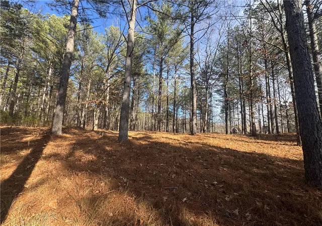 Photo 4 of Land for sale at 801 Mirror Lake Ct, Salem, SC 29676 | MLS# 20295940 | Listing updated on 2026-09-01