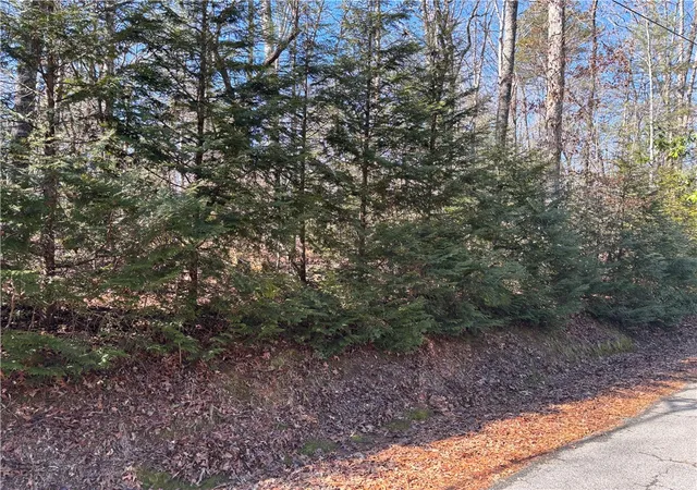 Photo 3 of Sale Pending at 686 W Cove Dr, Mountain Rest, SC 29664 | MLS# 20296678 | Listing updated on 2026-09-10