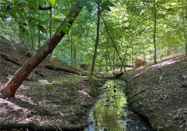 Photo 1 of Land for sale at Tract A Cann Rd, Anderson, SC 29625 | MLS# 20298167 | Listing updated on 2026-09-11
