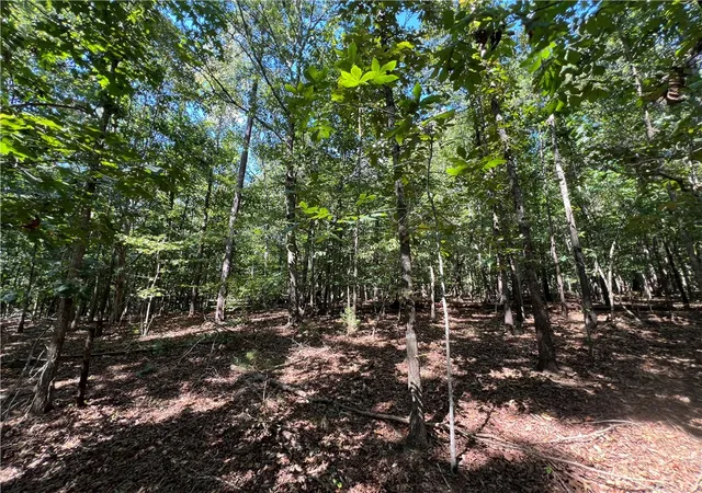 Photo 3 of Land for sale at Tract A Cann Rd, Anderson, SC 29625 | MLS# 20298167 | Listing updated on 2026-09-11