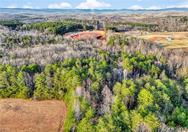 Photo 2 of Land for sale at 00 Cribbs Way, Easley, SC 29640 | MLS# 20298257 | Listing updated on 2026-09-11