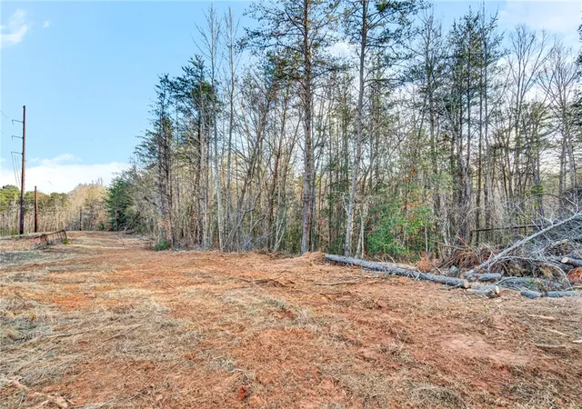 Photo 3 of House for sale at 00 Cribbs Way, Easley, SC 29640 | MLS# 20298257 | Listing updated on 2026-09-11