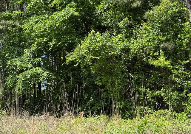 Photo 2 of Land for sale at 0 Airline Rd #Lot 2, Anderson, SC 29624 | MLS# 20299610 | Listing updated on 2026-10-22