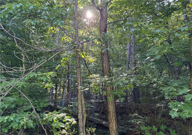 Photo 2 of Land for sale at 250 Meldau Rd, Seneca, SC 29678 | MLS# 20299854 | Listing updated on 2026-09-08