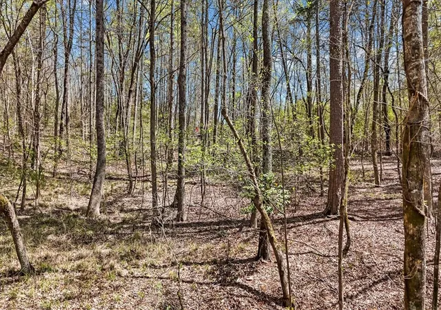 Photo 4 of Land for sale at 250 Meldau Rd, Seneca, SC 29678 | MLS# 20299854 | Listing updated on 2026-10-01