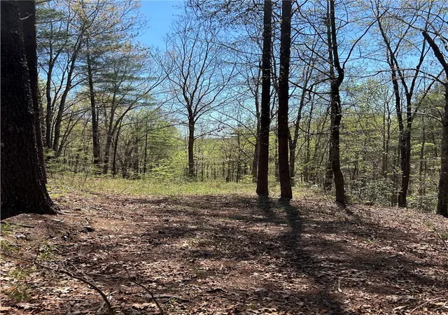 Photo 1 of Land for sale at Lot 160 Clb House Dr, Sunset, SC 29685 | MLS# 20299704 | Listing updated on 2026-09-03