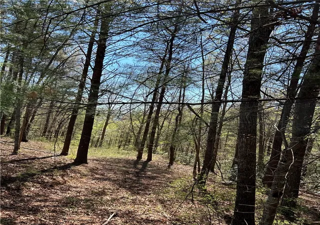 Photo 2 of Land for sale at Lot 160 Clb House Dr, Sunset, SC 29685 | MLS# 20299704 | Listing updated on 2026-09-03