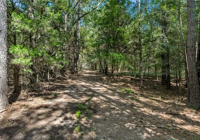 Photo 4 of House for sale at 133 Asa Hall Rd, Iva, SC 29655 | MLS# 20300091 | Listing updated on 2026-09-12