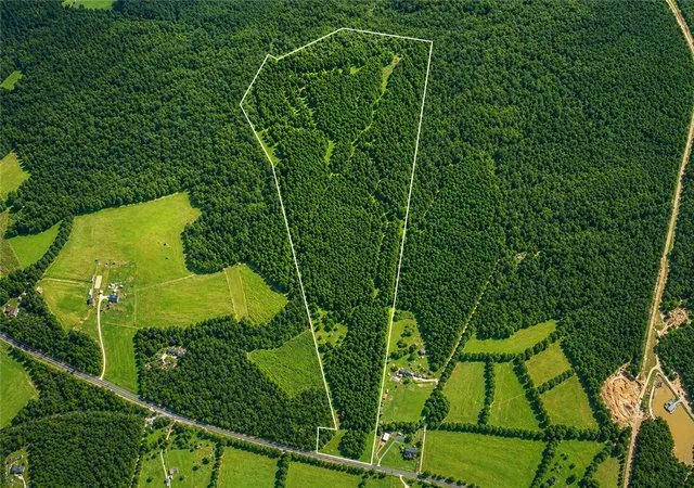 Land for sale at 3170 Highway 20, Abbeville, SC 29620 | MLS# 20300572